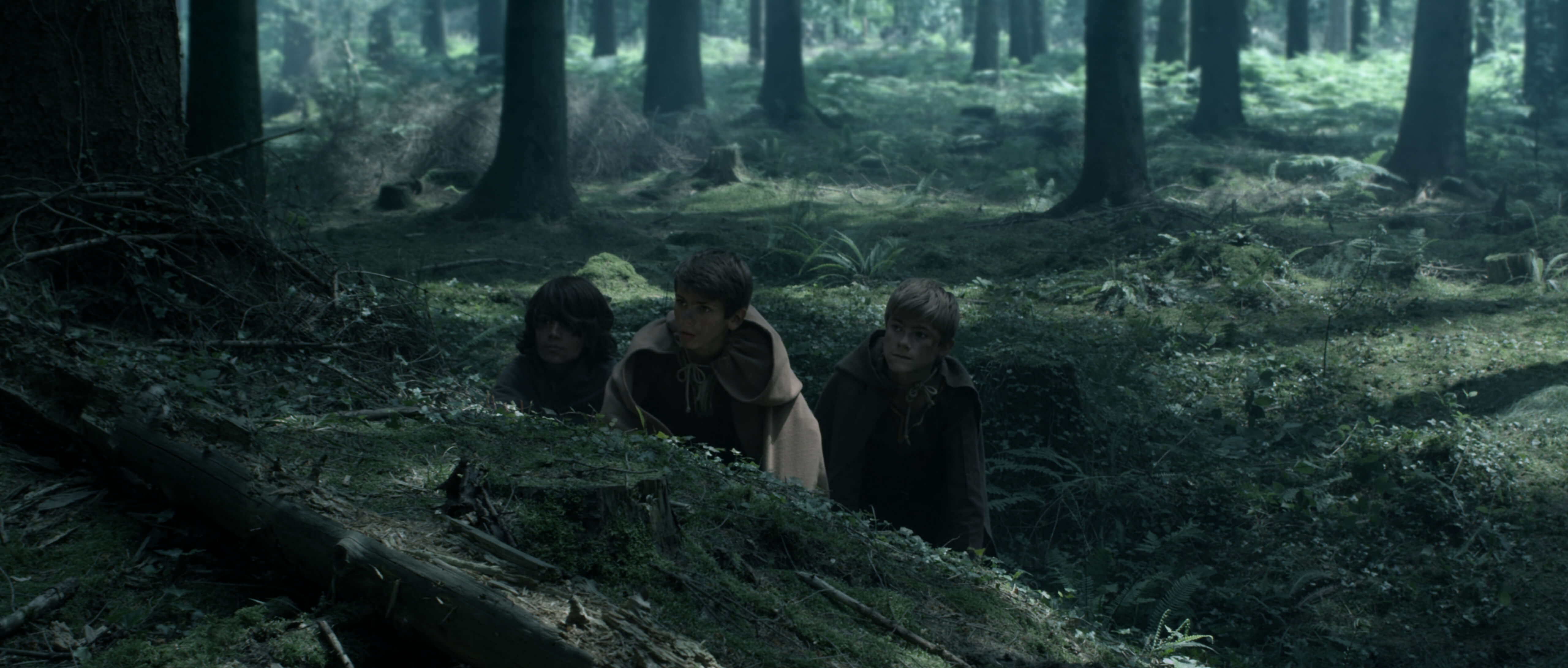 foret-enfants